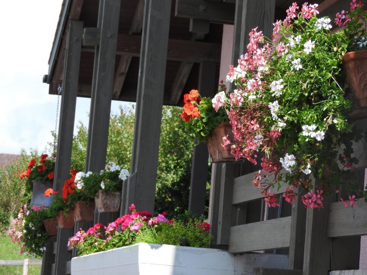 Chambres D'Hotes Le Bargeot 시옹 외부 사진